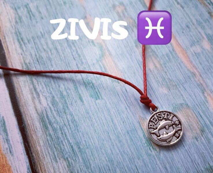 Zivis